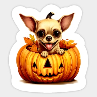 Chihuahua Dog inside Pumpkin #2 Sticker